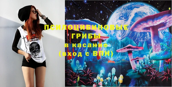 а пвп мука Кодинск