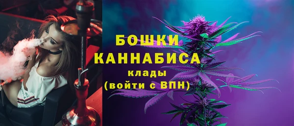 шишки Козловка