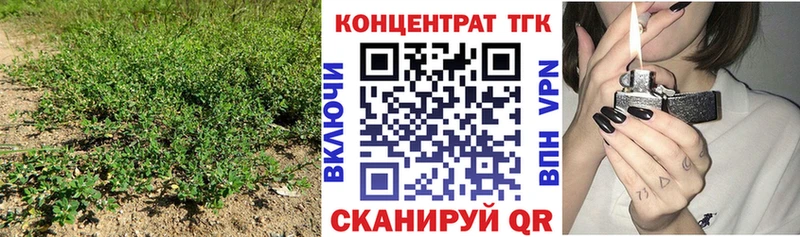 ссылка на мегу вход  Кинешма  ТГК гашишное масло 