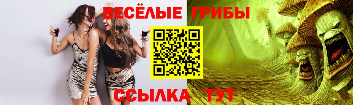 цены наркотик  Вход с VPN  Кинешма  Псилоцибиновые грибы ЛСД 