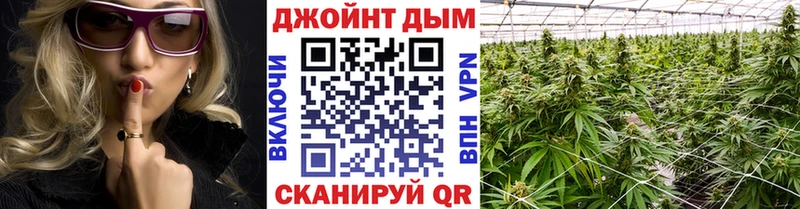 Бошки марихуана THC 21%  Кинешма 