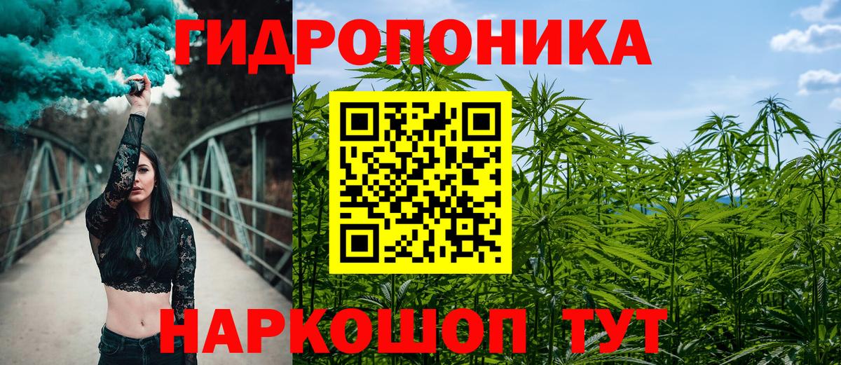 Бошки Шишки семена Кинешма